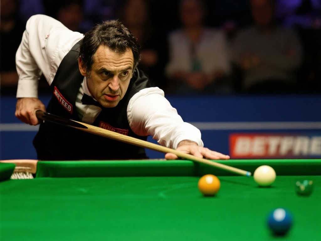 新的政策 新的政策